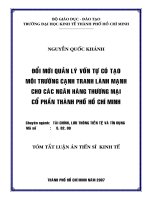 Đổi mới quản lý vốn tự có tạo môi trường cạnh tranh lành mạnh cho các ngân hàng Thương mại cổ phần thành phố Hố Chí Minh