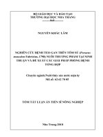 Nghiên cứu bệnh teo gan trên tôm sú (Penaeus monodon) nuôi thương phẩm tại Ninh Thuận vè đề xuất giải pháp phòng bệnh tổng hợp