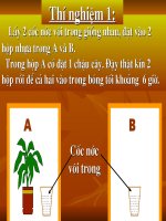 Sinh học 6 Giáo an soạn nộp