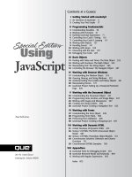 que special edition using javascript (2001)