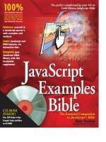 Giáo án - Bài giảng: JAVASCRIPT EXAMPLES BIBLE