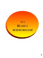 Giáo án Sinh học 8 tham khảo Máu và môi trường trong cơ thể