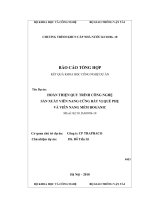 Hoàn thiện quy trình công nghệ sản xuất viên nang cứng bát vị quế phụ và viên nang mềm boganic