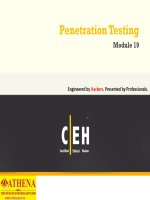 ATHENA CEH v7 module 19