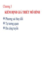 Bài giảng kinh tế lượng Kiểm định giả thuyết mô hình