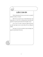 nghiên cứu sản xuất chip chuối