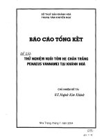 Thử nghiệm nuôi tôm thẻ chân trắng penaeus vannamei ở tỉnh khánh hoà