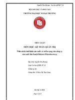 tiểu luận phân tích tình hình sản xuất và triển vọng của công ty sản xuất bia south dakota microbrewery