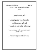 Nghiên cứu vi giải phẫu đường qua mê nhĩ vào vùng góc cầu tiểu não