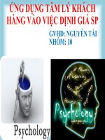 ỨNG DỤNG TÂM LÝ KHÁCH HÀNG VÀO VIỆC ĐỊNH GIÁ SẢN PHẨM pot