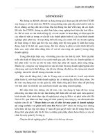 phần phương hướng và một số biện pháp hoàn thiện cơ cấu tổ chức, bộ máy quản lý ở công ty đầu tư và phát triển nhà hà nội số 22