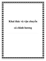 Khai thác và vận chuyển cá chình hương pptx