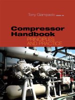compressor handbook principles and practice