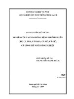 Nghiên cứu vacxin phòng bệnh nhiễm khuẩn cho cá tra, cá basa, cá mú, cá giò, có hồng mỹ nuôi công nghiệp