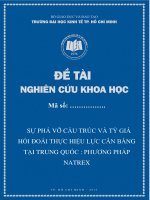 Sự phá vỡ cấu trúc và tỷ giá hối đoái thực hiệu lực cân bằng tại trung quốc : Phương pháp NATREX