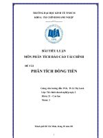 Tiểu luận: Phân tích dòng tiền