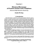 microscopy, optical spectroscopy