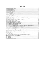 Báo cáo tài chính của công ty cổ phần tổng công ty may đồng nai