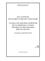 ứng dụng công nghệ thông tin để hỗ trợ việc xác định rủi ro và vận dụng tính trọng yếu trong hoạt động kiểm toán của kiểm toán nhà nước