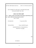 Nghiên cứu điều chế chế phẩm HN LBS phòng trị bệnh đường ruột ở lợn và giảm ô nhiễm môi trường trong chăn nuôi lợn