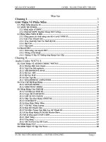 Nghiên cứu hệ thống nhúng trên SoPC builder và các ứng dụng