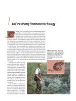 life the science of biology 7th ed - bill purves, david sadava