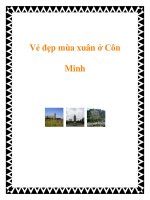 Vẻ đẹp mùa xuân ở Côn Minh docx