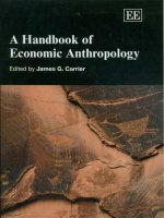 a handbook of economic anthropology - james g. carrier