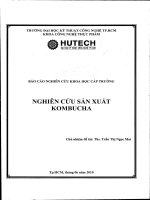 Đề tài : Nghiên cứu sản xuất kombucha