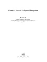 chemica process design and integration