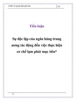 Sự độc lập của ngân hàng trung ương tác động đến việc thực hiện cơ chế lạm phát mục tiêu