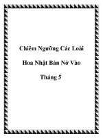 Chiêm Ngưỡng Các Loài Hoa Nhật Bản Nở Vào Tháng 5 ppt
