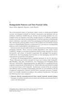 Biodegradable Polymers and Their Practical Utility