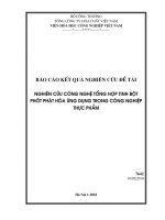 Nghiên cứu công nghiệp tổng hợp tinh bột photphat hóa ứng dụng trong công nghiệp thực phẩm