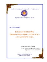 khảo sát hàm lượng protein tổng trong xương ngựa và cao xương ngựa