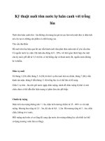 Kỹ thuật nuôi tôm nước lợ luân canh với trồng lú ppt