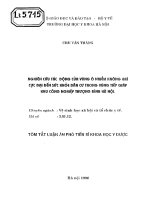 Nghiên cứu tác động của vùng ô nhiễm không khí cực đại đến sức khỏe dân cư trong vùng tiếp giáp khu công nghiệp Thượng Đình Hà Nội