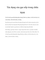 Tác dụng của gạo nếp trong chữa bệnh pot