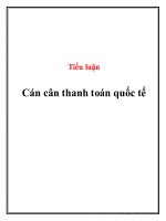 Tiểu luận: Cán cân thanh toán quốc tế