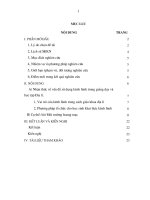 Sáng kiến Ứng dụng công nghệ thông tin để khai thác kênh hình trong dạy học môn địa lý THCS