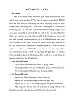 Tối ưu hoá quá trình tách urani từ quặng cát kết vùng Nông Sơn - Quảng Nam