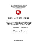 Tổng quan về thị trường dầu mỏ thế giới và ảnh hưởng của biến động giá xăng dầu tới nền kinh tế Việt Nam giai đoạn 2004-2008