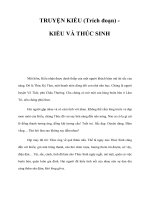 TRUYỆN KIỀU (Trích đoạn) - KIỀU VÀ THÚC SINH pptx