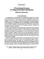 protocols for oligonucleotide conjugates