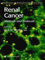 renal cancer, methods and protocols