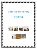 Chậu cắm hoa từ bóng đèn hỏng pptx