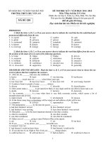 Đề thi học kì 1 môn Sử 12A cơ bản 1 năm 2013 trường Chu Văn An potx