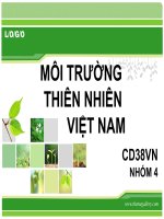 MÔI TRƯỜNG THIÊN NHIÊN VIỆT NAM