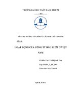 HOẠT ĐỘNG CỦA CÔNG TY BẢO HIỂM Ở VIỆT NAM