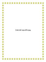 Cách chế rượu đỗ trọng doc